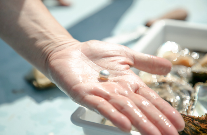 パールメモリー